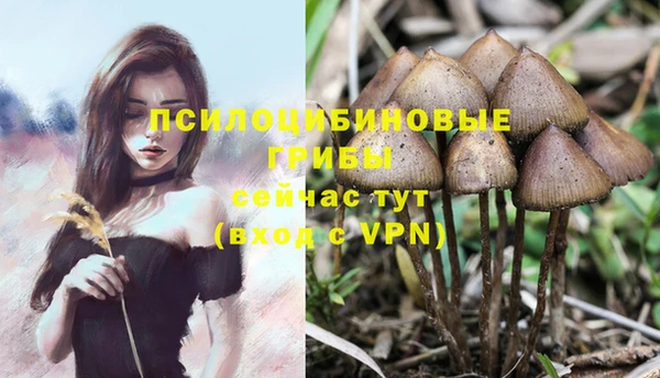 соль курить ск Михайлов