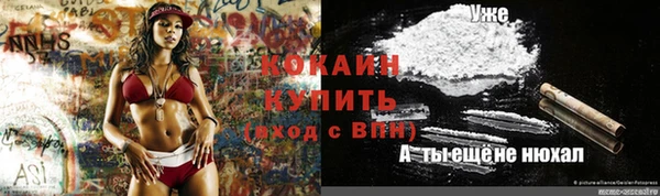 соль курить ск Михайлов